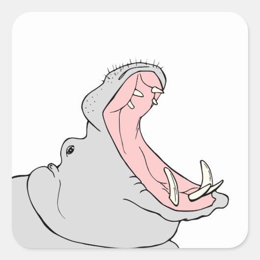 Hongerig Hippo Vierkante Sticker (Voorkant)
