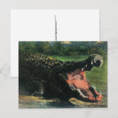 Hongerig Man-eten Alligator Briefkaart (Voorkant / Achterkant)