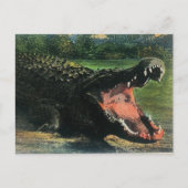 Hongerig Man-eten Alligator Briefkaart (Voorkant)