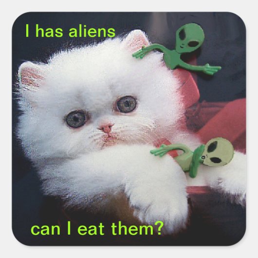 Hongerig Schattige Kitten - Vierkante Sticker (Voorkant)