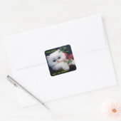 Hongerig Schattige Kitten - Vierkante Sticker (Envelop)