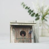 Hongerige Baby vogelmus foto Briefkaarten (Staand voorkant)