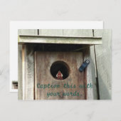 Hongerige Baby vogelmus foto Briefkaarten (Voorkant / Achterkant)