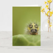 hongerige catapillar kaart (Gele Bloem)