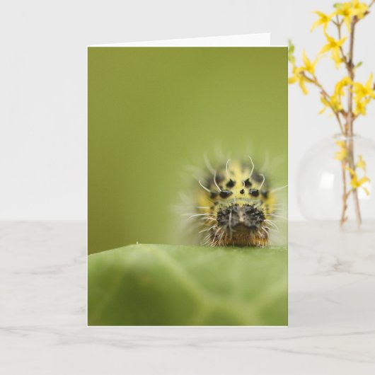 hongerige catapillar kaart (Gele Bloem)