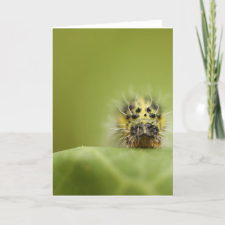 hongerige catapillar kaart