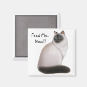 Hongerige Himalaya kat magneet (Voorkant / Achterkant)