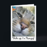 Hongerige kat Grappige groet / Verjaardag Kaart<br><div class="desc">Perfect voorbeeld van mijn kat Teddy,  altijd vragen om eten!</div>