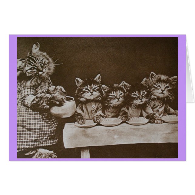 hongerige katten (Voorkant Horizontaal)