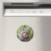 Hongerige kattenmagneet magneet (Insitu (Vaatwasser))