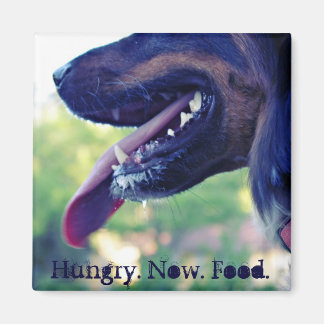 Hongerige magneet voor koelkast