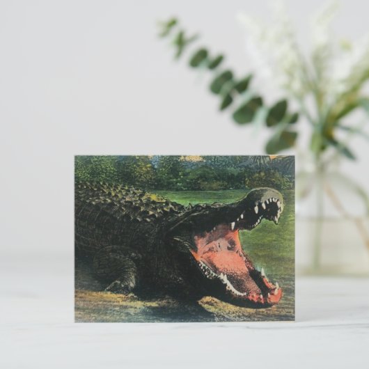 Hongerige Mensenetende Alligator Ansichtkaart Briefkaart (Staand voorkant)