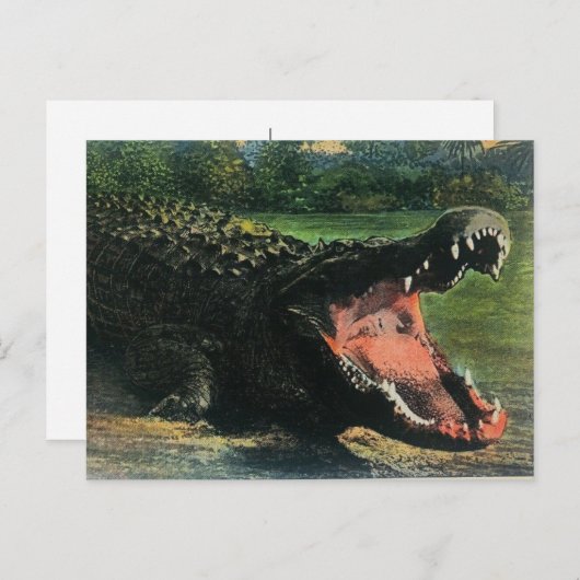 Hongerige Mensenetende Alligator Ansichtkaart Briefkaart (Voorkant / Achterkant)