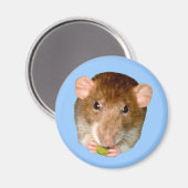 Hongerige Rattenspulzie Magneet (Voorkant / Achterkant)