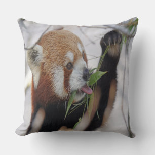 Hongerige Rode Panda Kussen