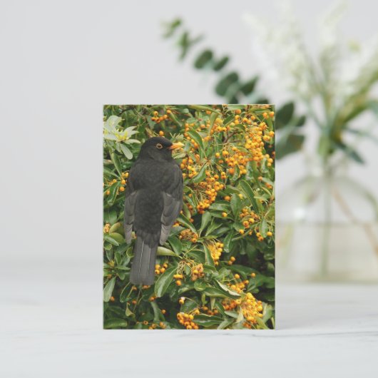 Hongervogel Briefkaart (Staand voorkant)