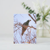 hongerzonsondergang briefkaart (Staand voorkant)