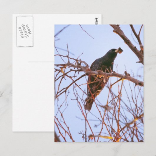 hongerzonsondergang briefkaart (Voorkant / Achterkant)