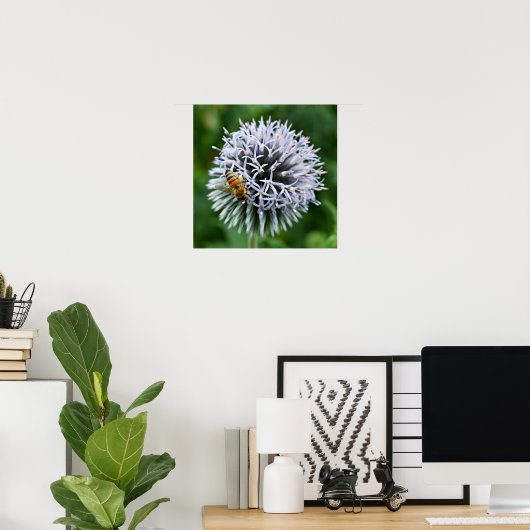 Honigbij op Bolkruid Bloem Poster (Thuiskantoor)