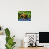 Honigbij op een Steen Poster (Thuiskantoor)