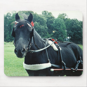 Honing - een heel bijzondere Pony Muismat