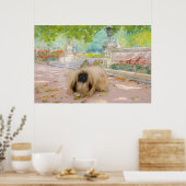 Honing Pekingees in Bloemstuk Poster (Keuken)