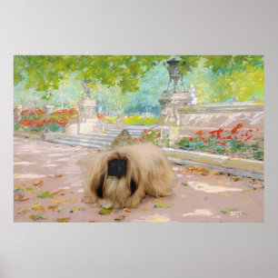 Honing Pekingees in Bloemstuk Poster