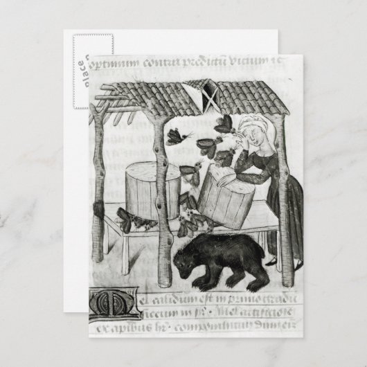 Honing verzamelen briefkaart (Voorkant / Achterkant)