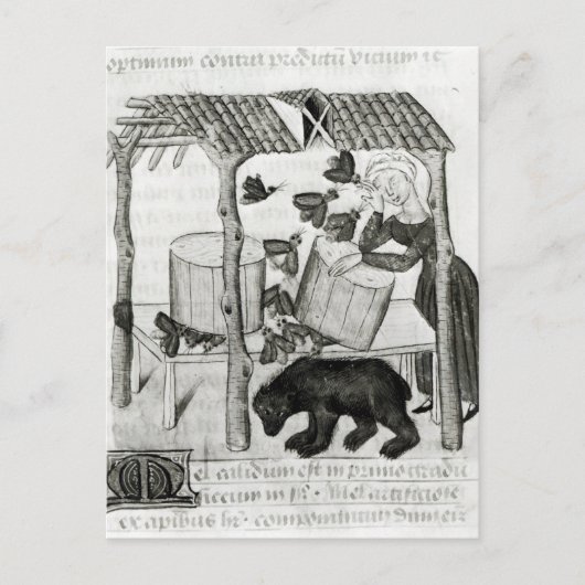 Honing verzamelen briefkaart (Voorkant)