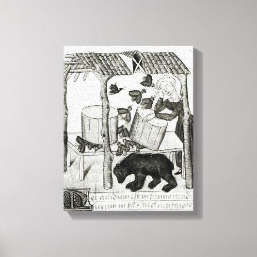 Honing verzamelen canvas afdruk (Voorkant)