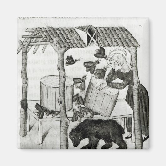 Honing verzamelen magneet (Voorkant)