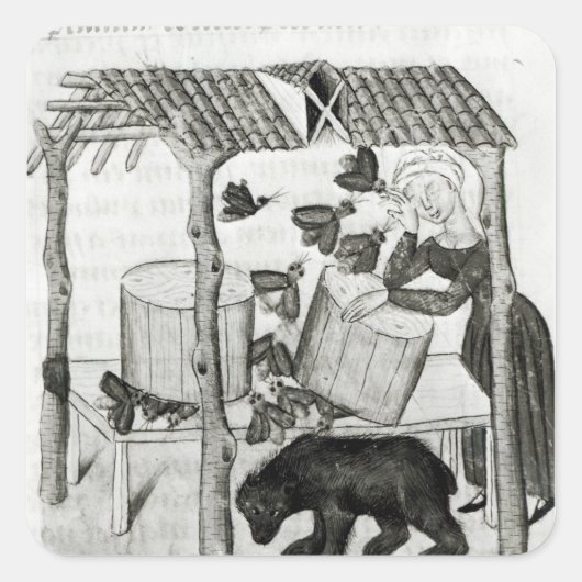 Honing verzamelen vierkante sticker (Voorkant)