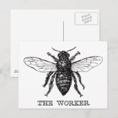 Honing Zwarte Hommels Arbeiderbij Briefkaart (Voorkant / Achterkant)