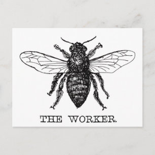 Honing Zwarte Hommels Arbeiderbij Briefkaart