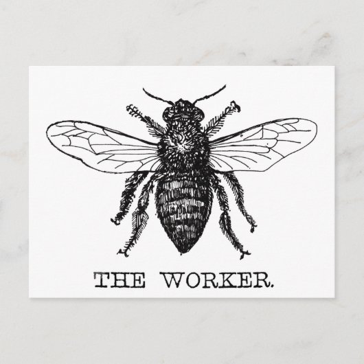 Honing Zwarte Hommels Arbeiderbij Briefkaart (Voorkant)