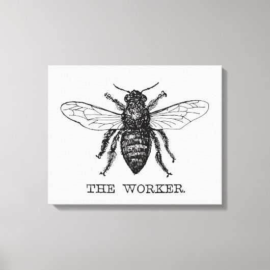 Honing Zwarte Hommels Arbeiderbij Canvas Afdruk (Voorkant)