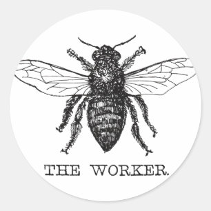 Honing Zwarte Hommels Arbeiderbij Ronde Sticker