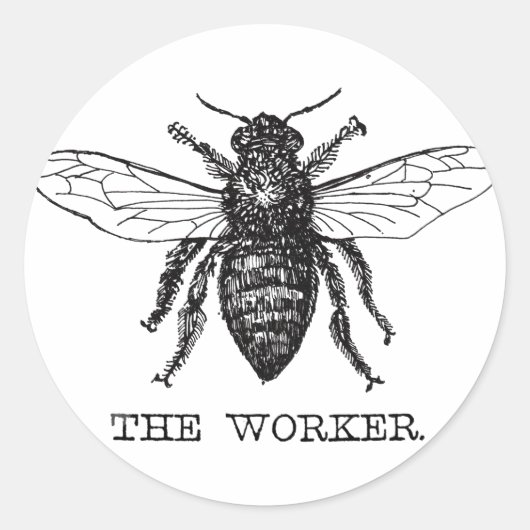 Honing Zwarte Hommels Arbeiderbij Ronde Sticker (Voorkant)