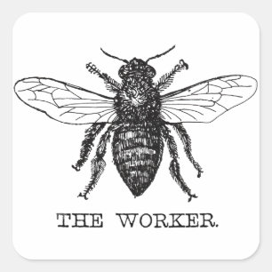 Honing Zwarte Hommels Arbeiderbij Vierkante Sticker