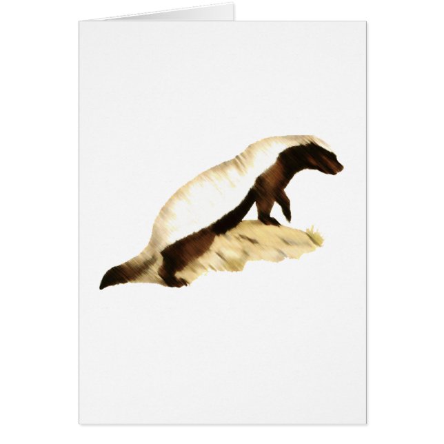 honingbadger (Voorkant)