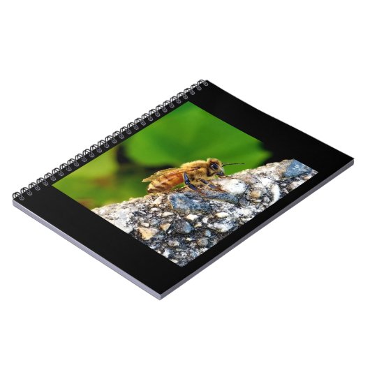 Honingbij 6.5x8.75 Spiraal Notitieboek (Linkerzijde)