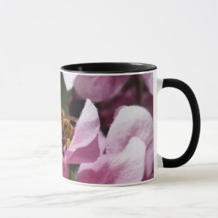 Honingbij Bestuivert Roze Appelbloesem Boom Mok