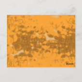 Honingbij Briefkaart (Achterkant)