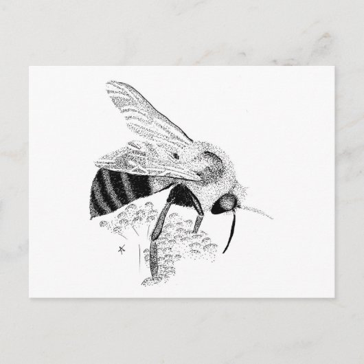 Honingbij Briefkaart (Voorkant)