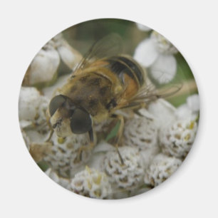 Honingbij en Bloemenmagneet Magneet
