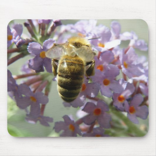 Honingbij en Buddleia Bloemen Muismat (Voorkant)
