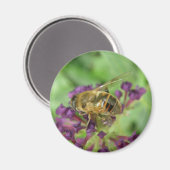 Honingbij en paarse bloemen Magnet (Voorkant / Achterkant)