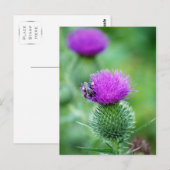 Honingbij en Thistle Briefkaart (Voorkant / Achterkant)