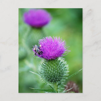 Honingbij en Thistle Briefkaart