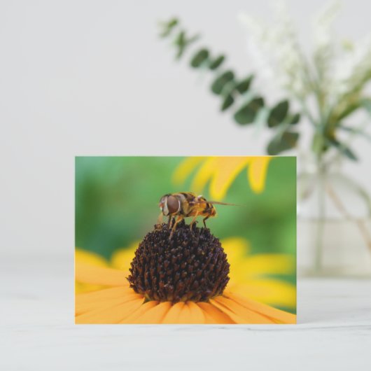 Honingbij - Het middelpunt van de aandacht Briefkaart (Staand voorkant)